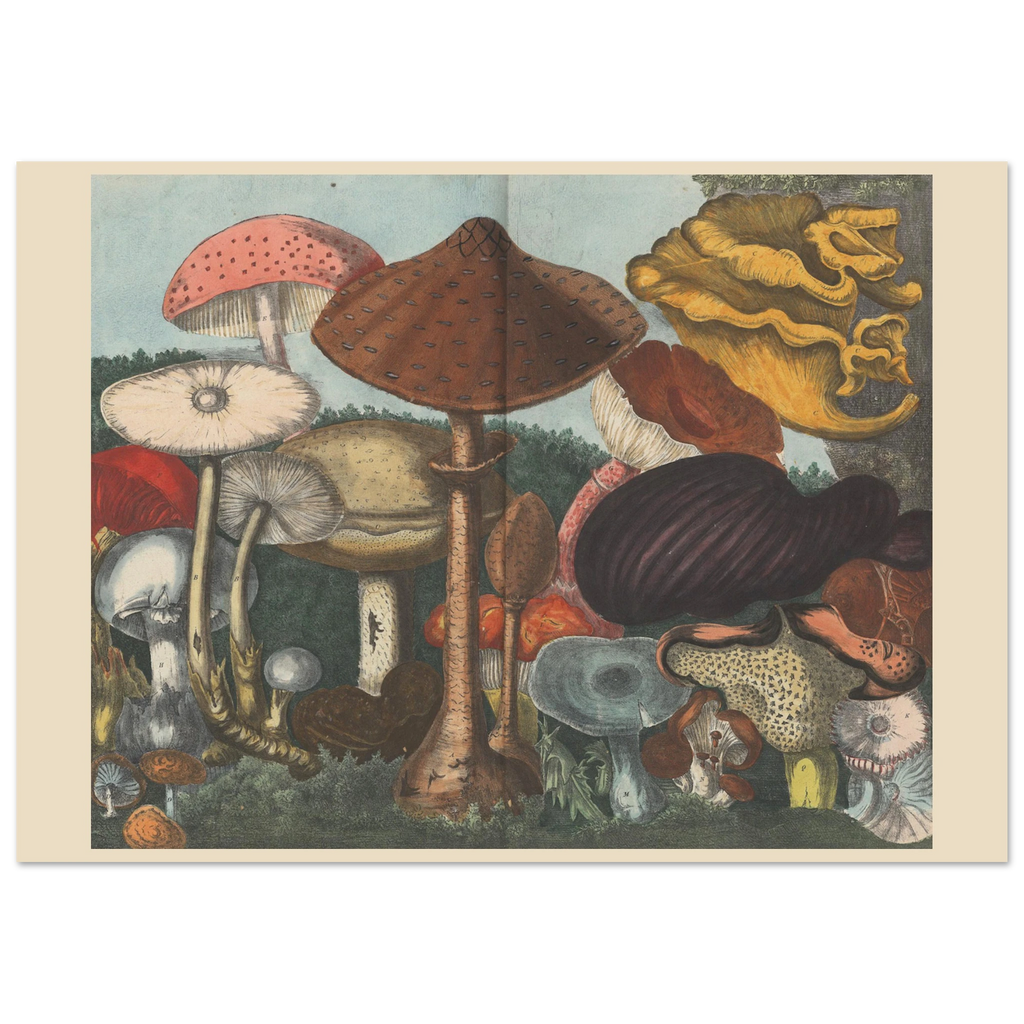 01da41b2-ba5b-4aad-90fc-239dd4e0d756