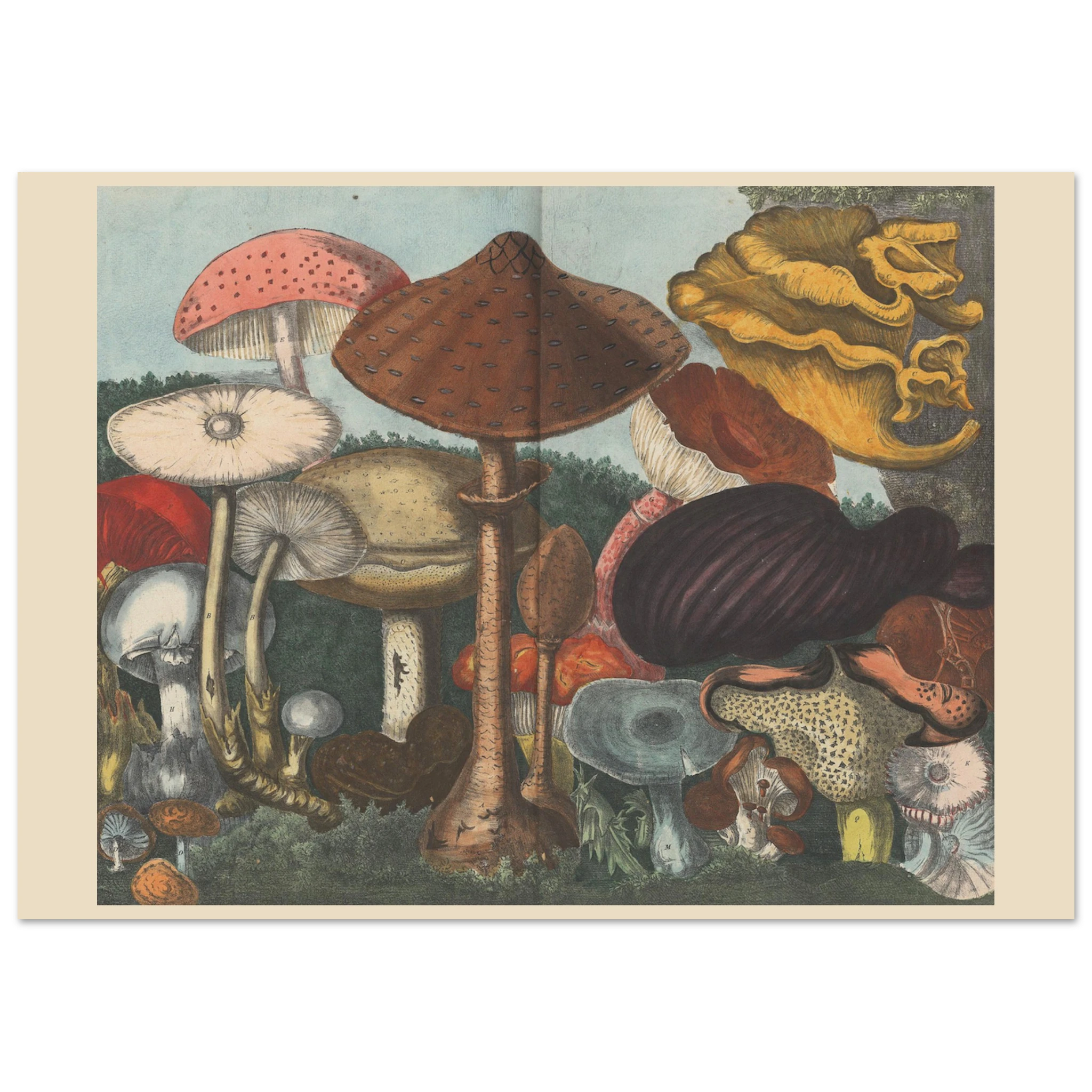 01da41b2-ba5b-4aad-90fc-239dd4e0d756