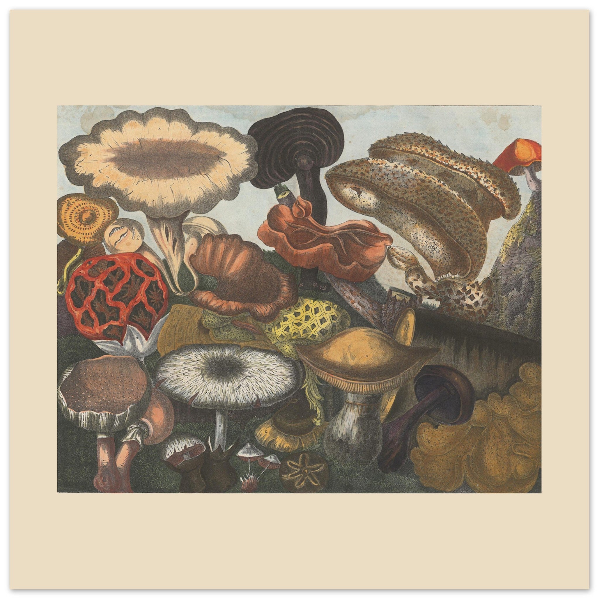 027800a9-14fa-488c-91ac-26d4d87c0c7f