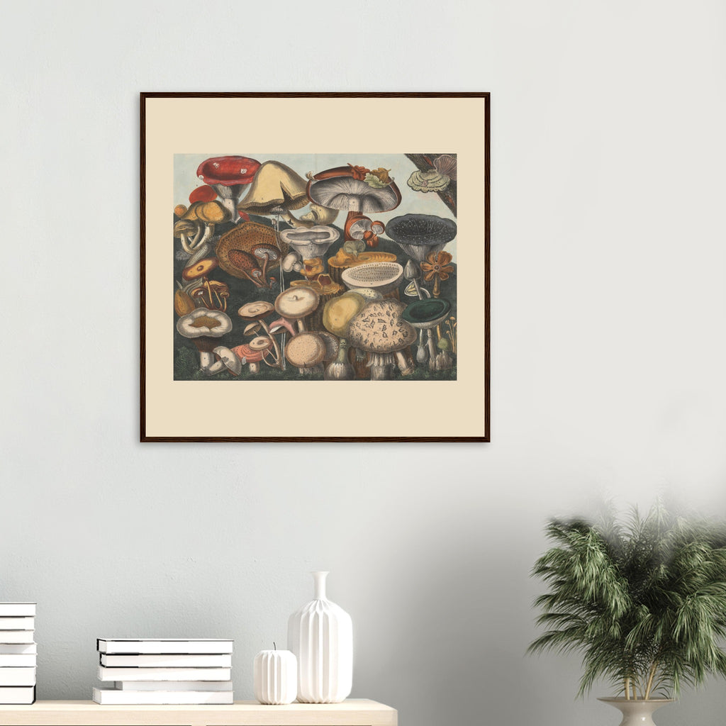 02d24708-fad3-4957-8945-8b45d8cdd5d1