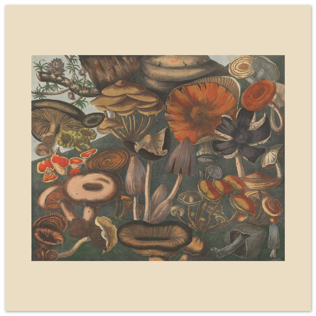 03377bdd-3ddb-4d6f-920b-89a9492acd0b