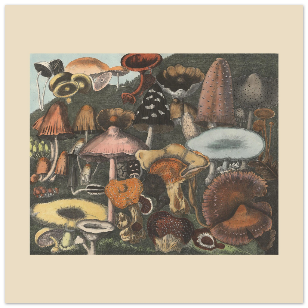 15cdd7e5-563e-47bd-9d02-d2e71d04d5a5