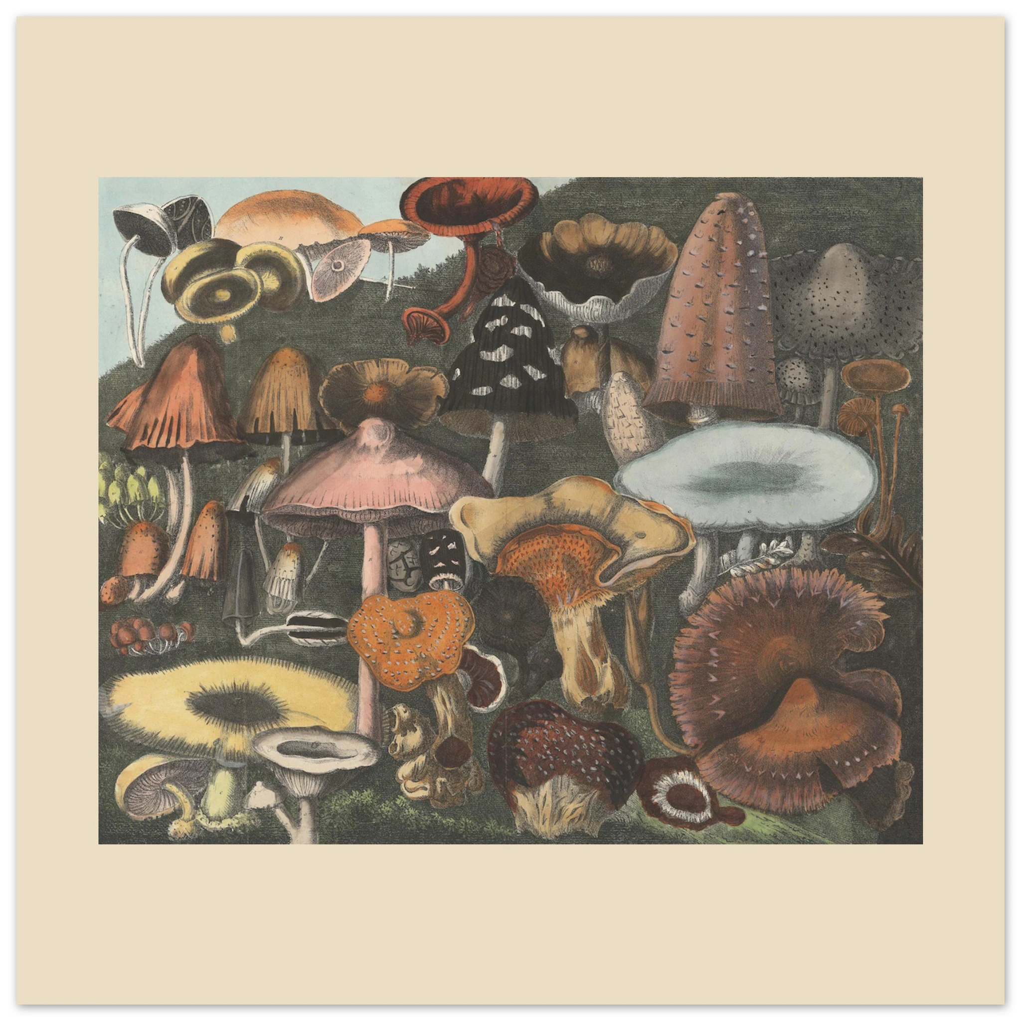 15cdd7e5-563e-47bd-9d02-d2e71d04d5a5