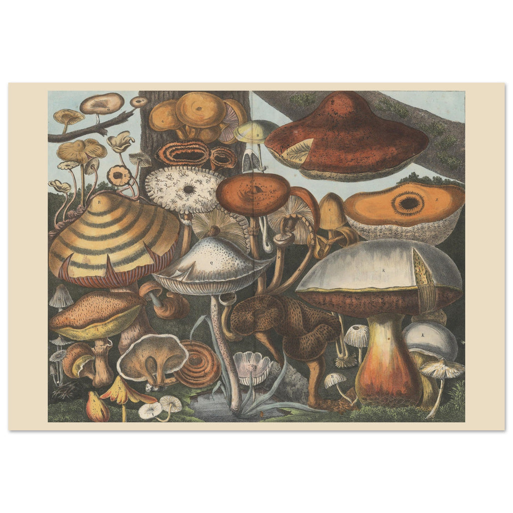 2658edf1-462a-4161-a253-051c92367f6b