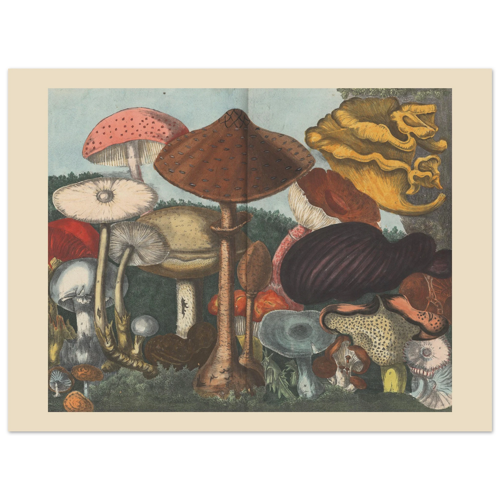 284d90bd-104e-4c70-a728-4ec4311418fa