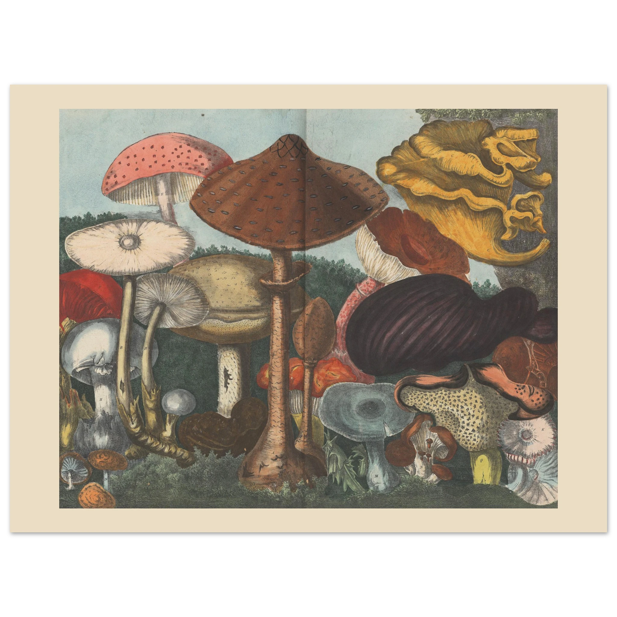 284d90bd-104e-4c70-a728-4ec4311418fa