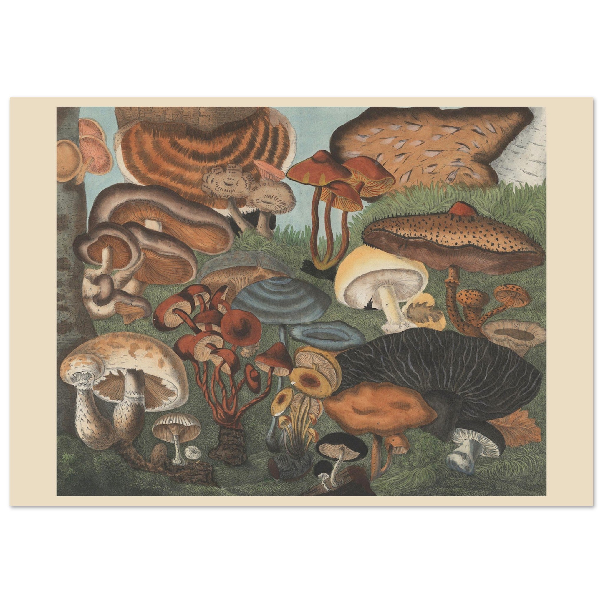 298b768c-1285-4a88-a4ac-0c640d35692d