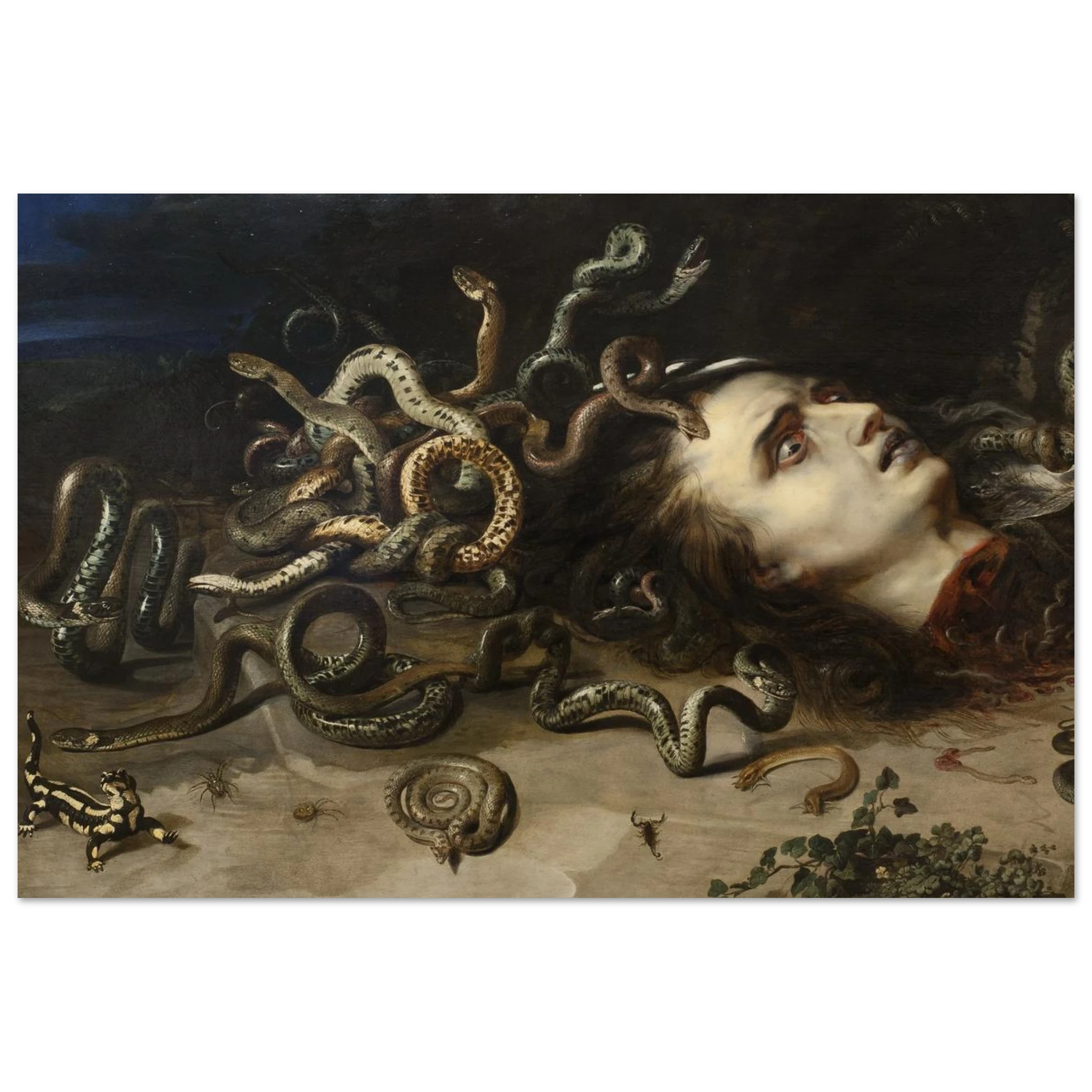 3114aff2-2abc-43d5-b4b8-43873b657f41