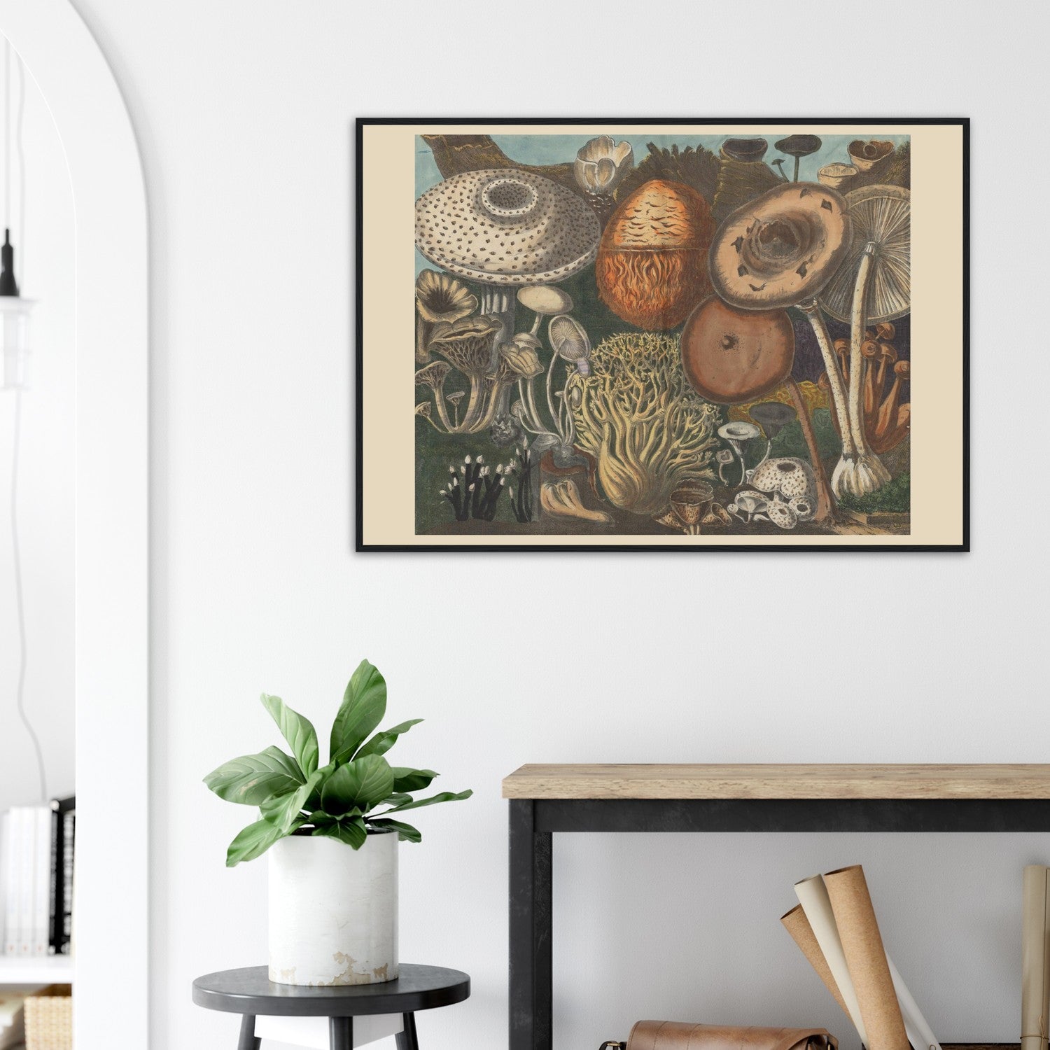 Atlas des Champignons 3 Print