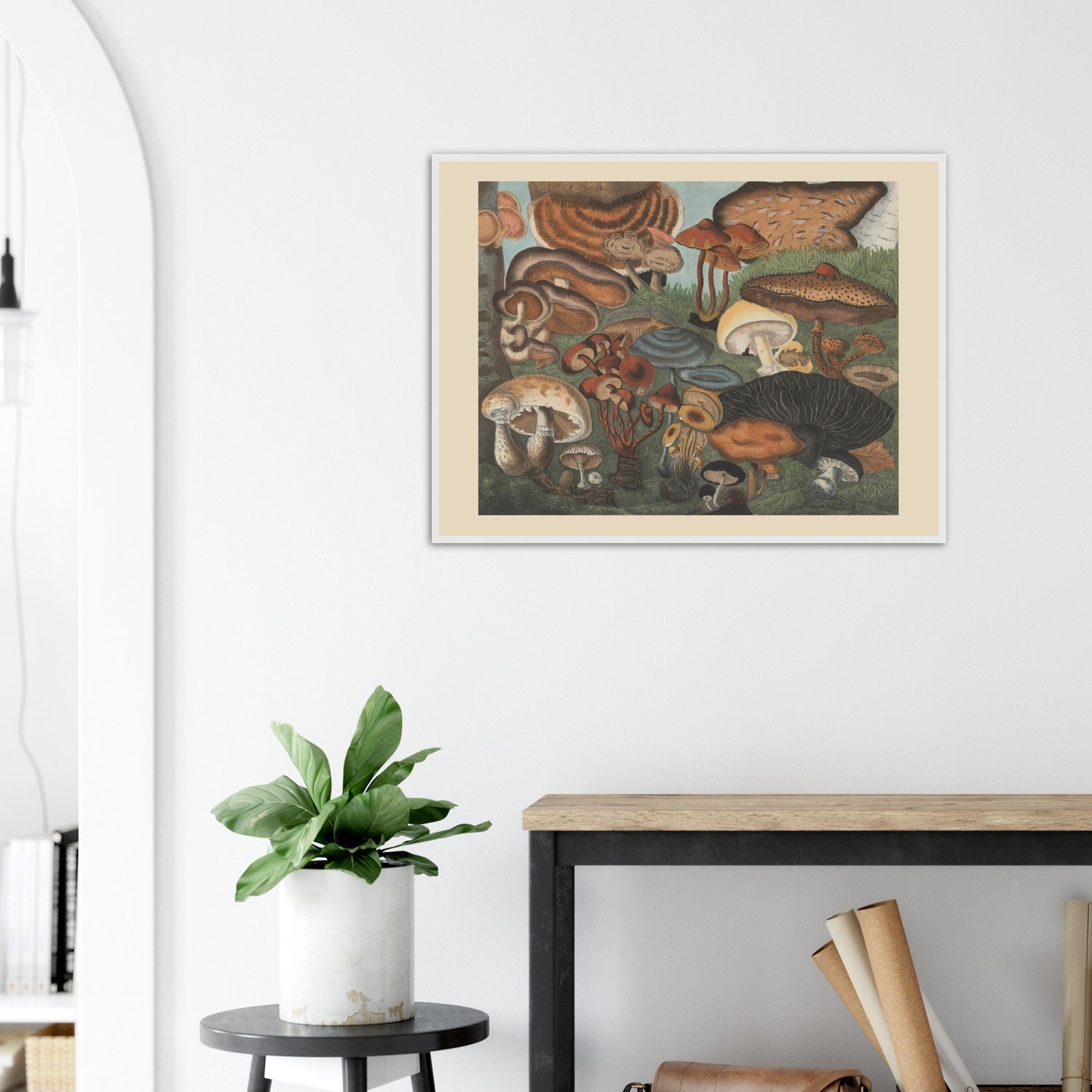 Atlas des Champignons 6 Print