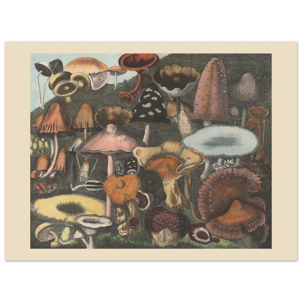 3aae686b-715a-4d75-9218-0954892da71d