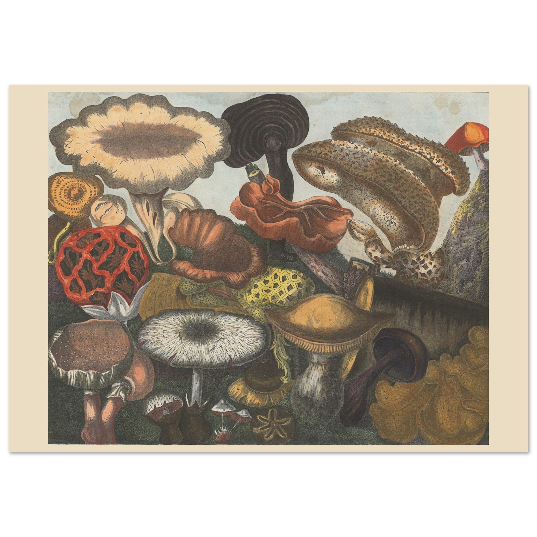 3bd302ba-9e40-4609-9c80-98fb5190b3ad