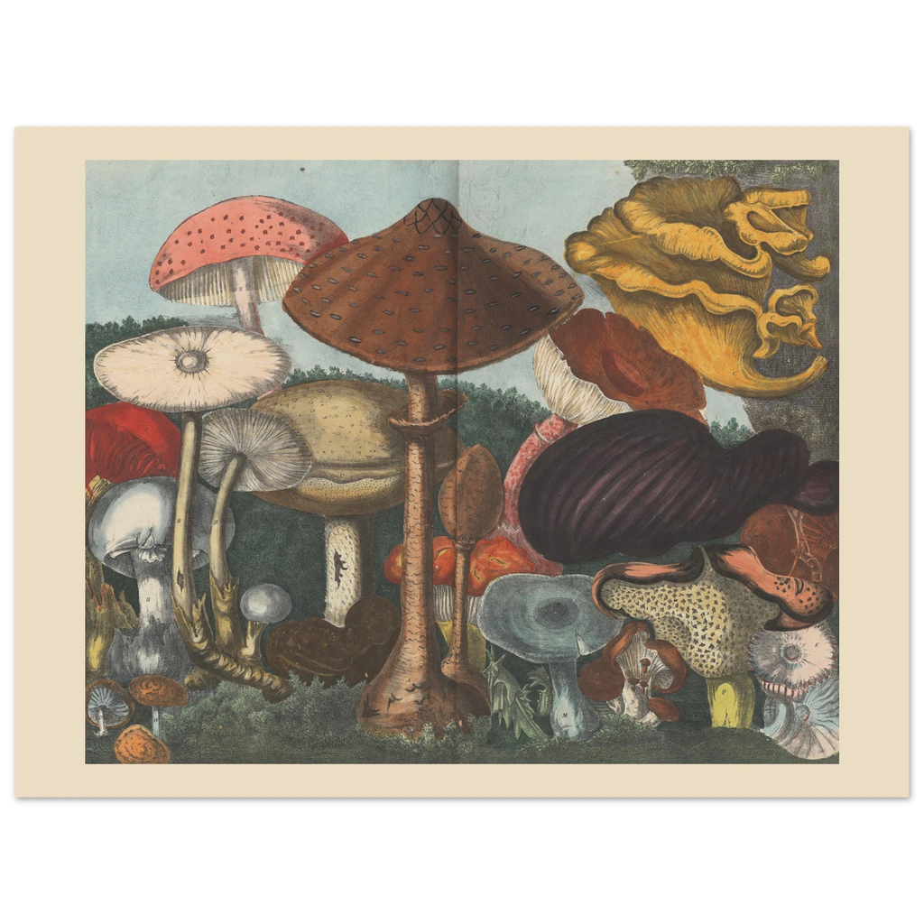 3df1f0b7-b8e9-4737-a87d-363930217dd8