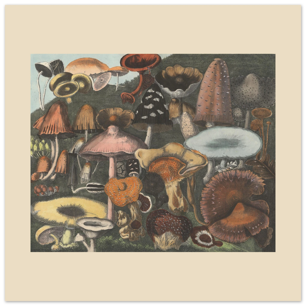 405f21c6-265f-417e-8b0c-75bf3fed7990