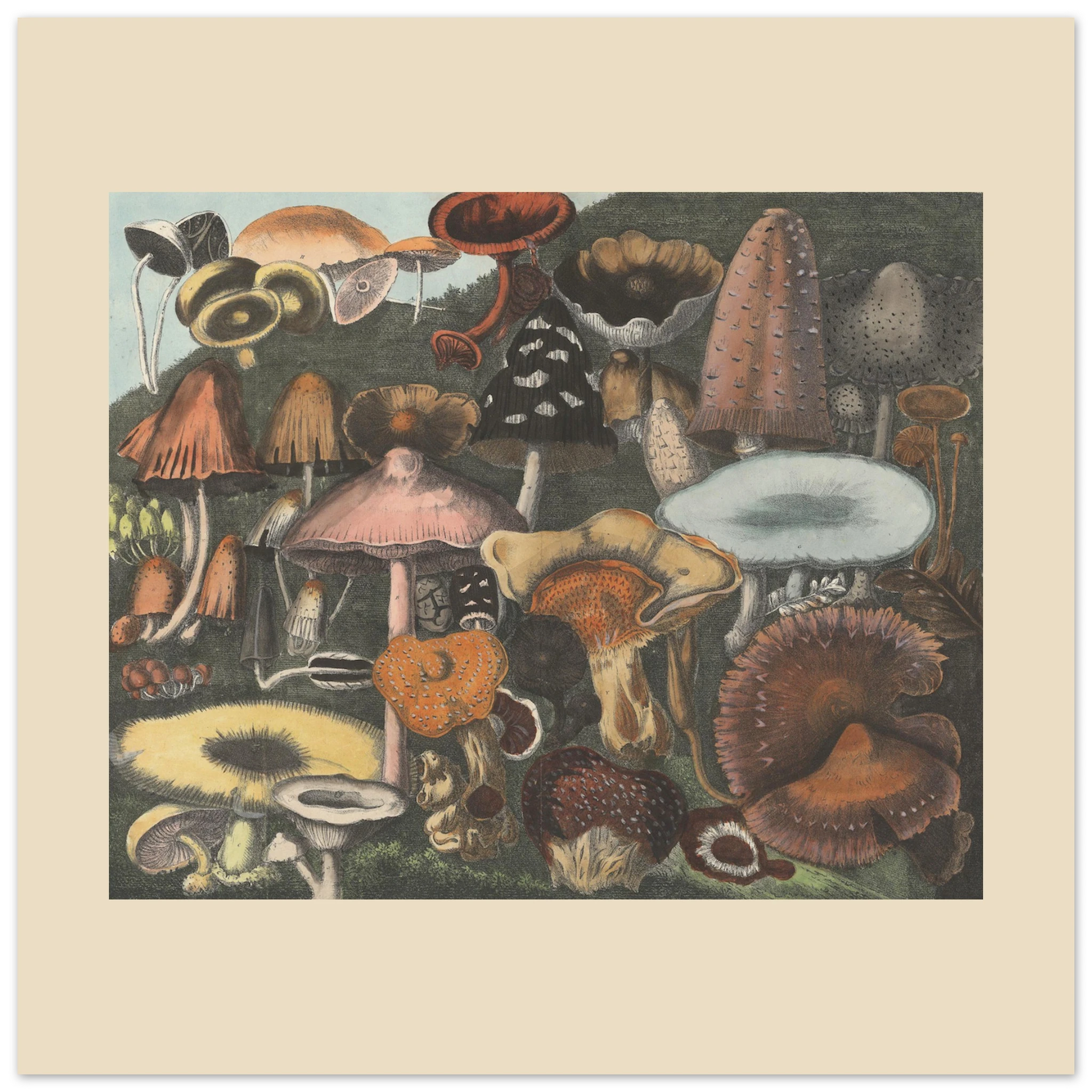 405f21c6-265f-417e-8b0c-75bf3fed7990