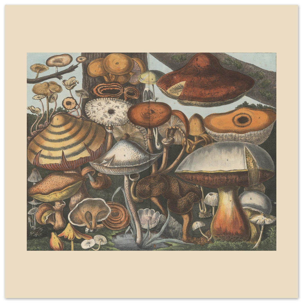 464444b9-588c-4afa-a804-662a78e2b2a1