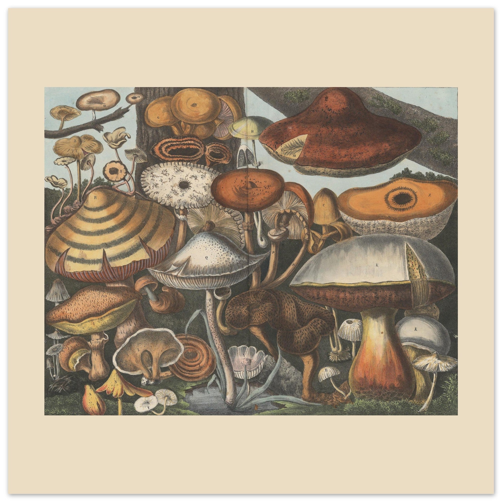 464444b9-588c-4afa-a804-662a78e2b2a1