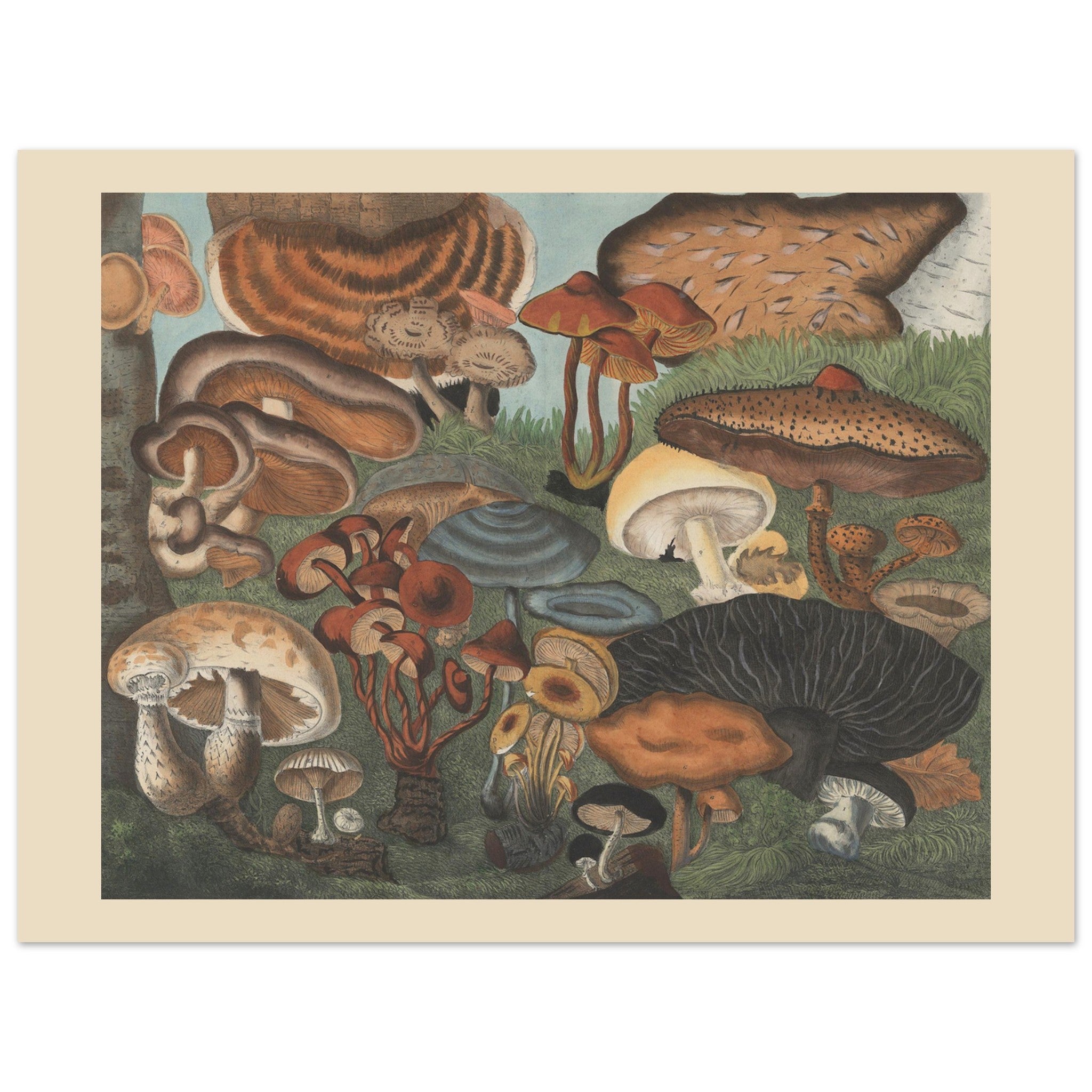 4b648c53-51f6-43dc-8b23-695d59888dbe