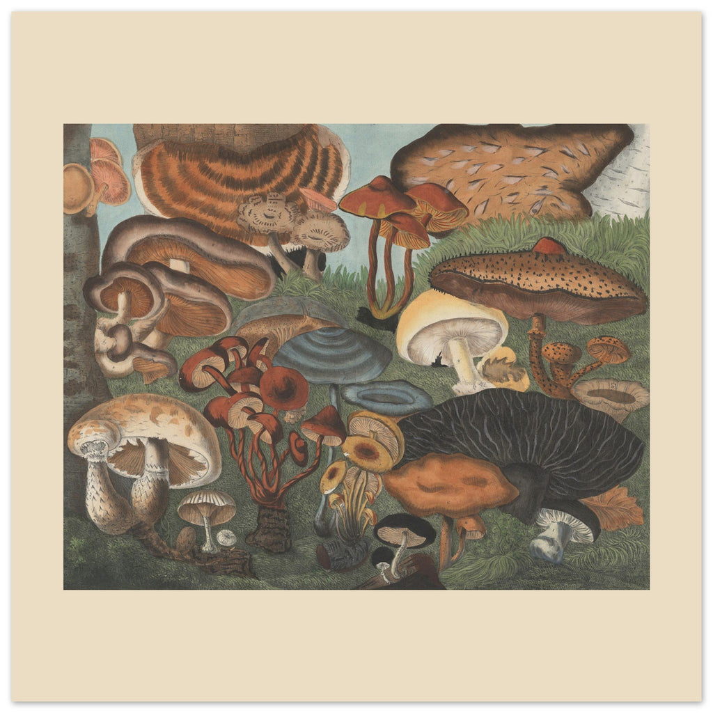 4e13629b-c85d-48e6-af48-0238fa322200