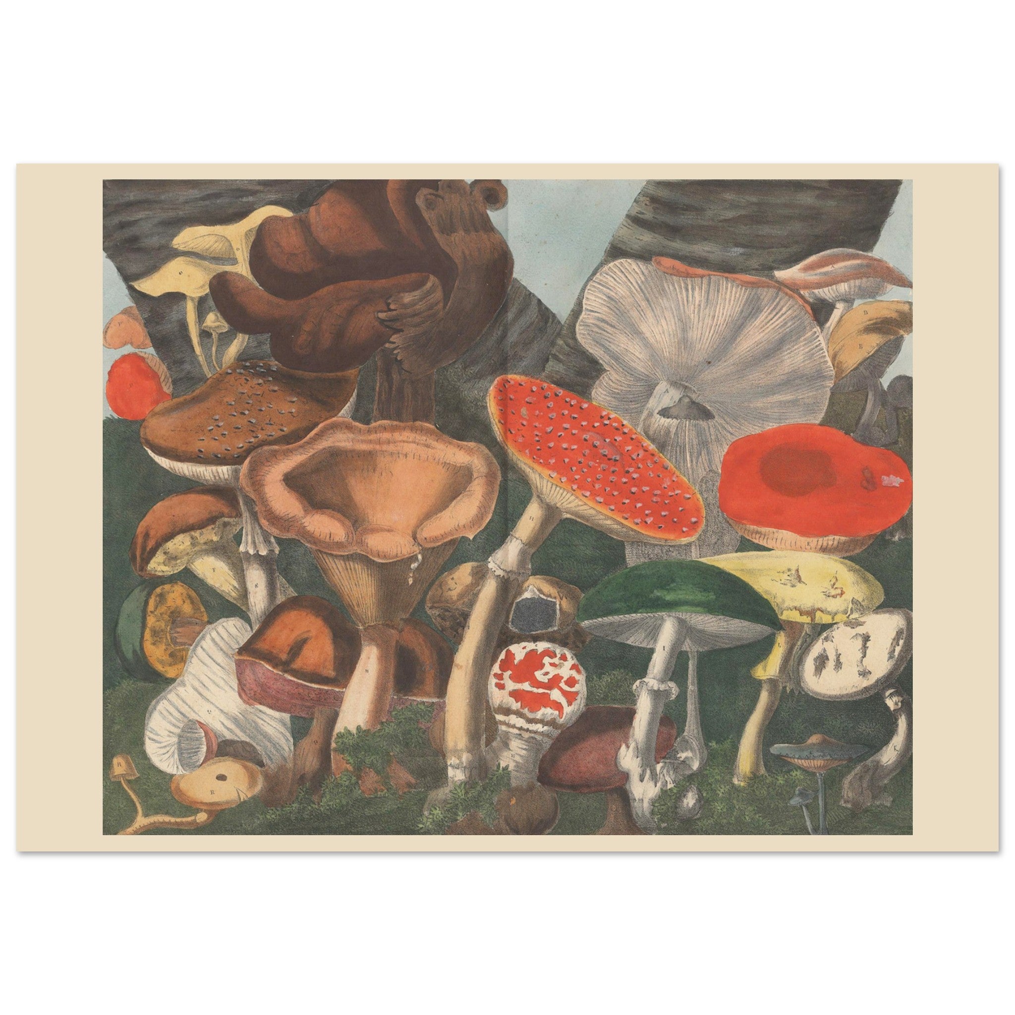 4fbb64a0-fea3-4681-a005-194a2ba40572