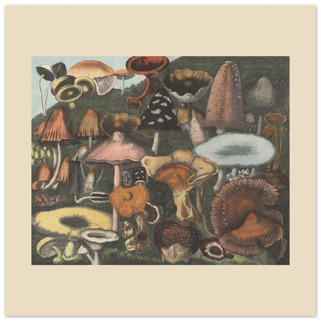 54b9047a-e27c-4e72-9de6-c5ef01d5be47