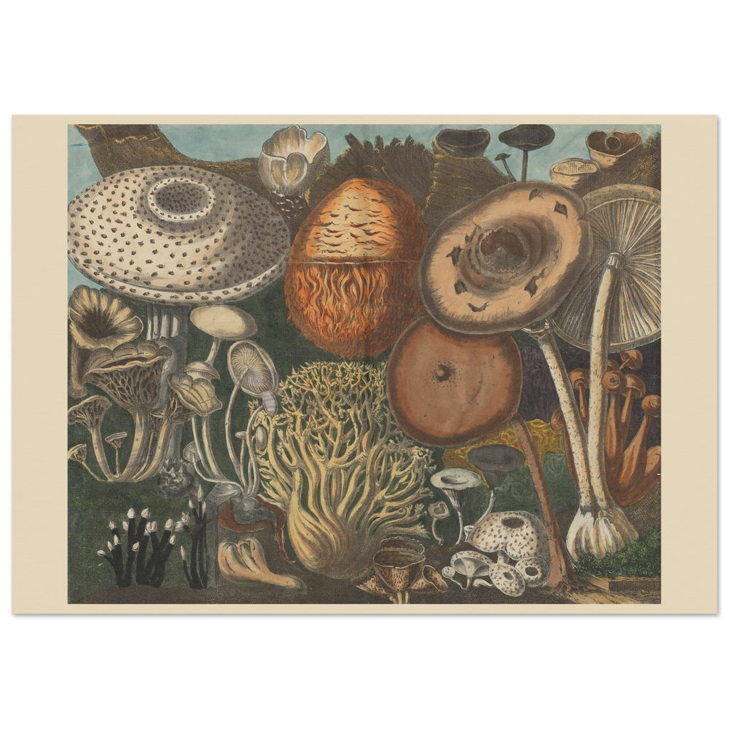 62ee59aa-986e-47ea-ae60-69186a82d6b2