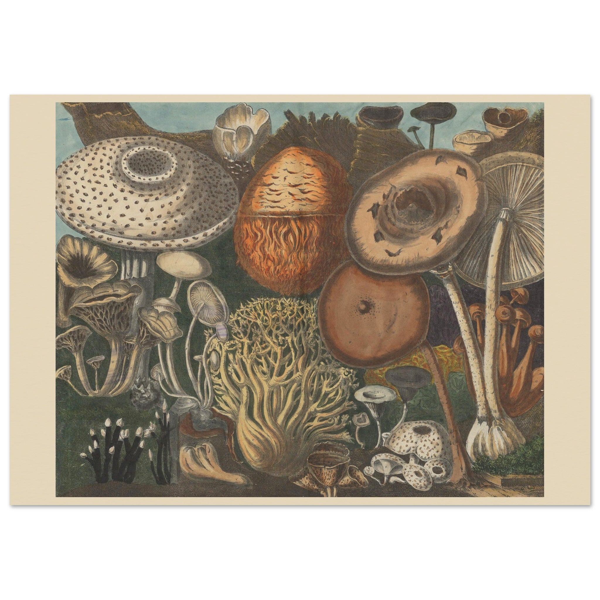 62ee59aa-986e-47ea-ae60-69186a82d6b2