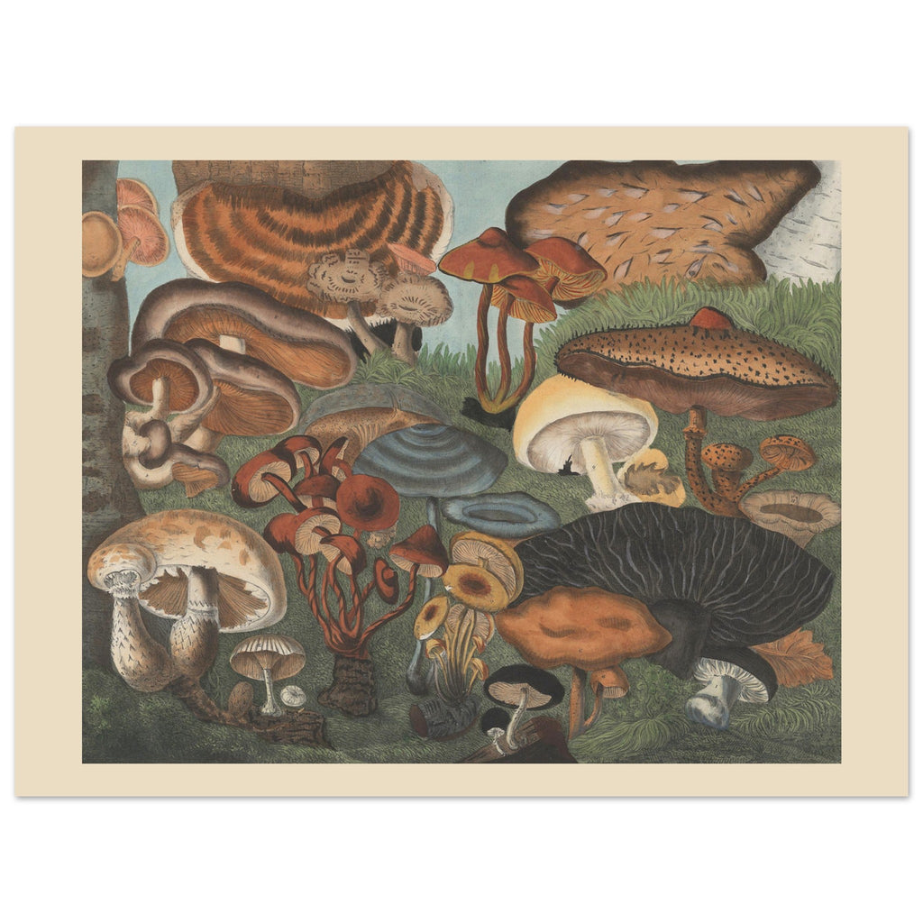 6c437ef7-14d7-4bfd-9e4e-f566bcd57014