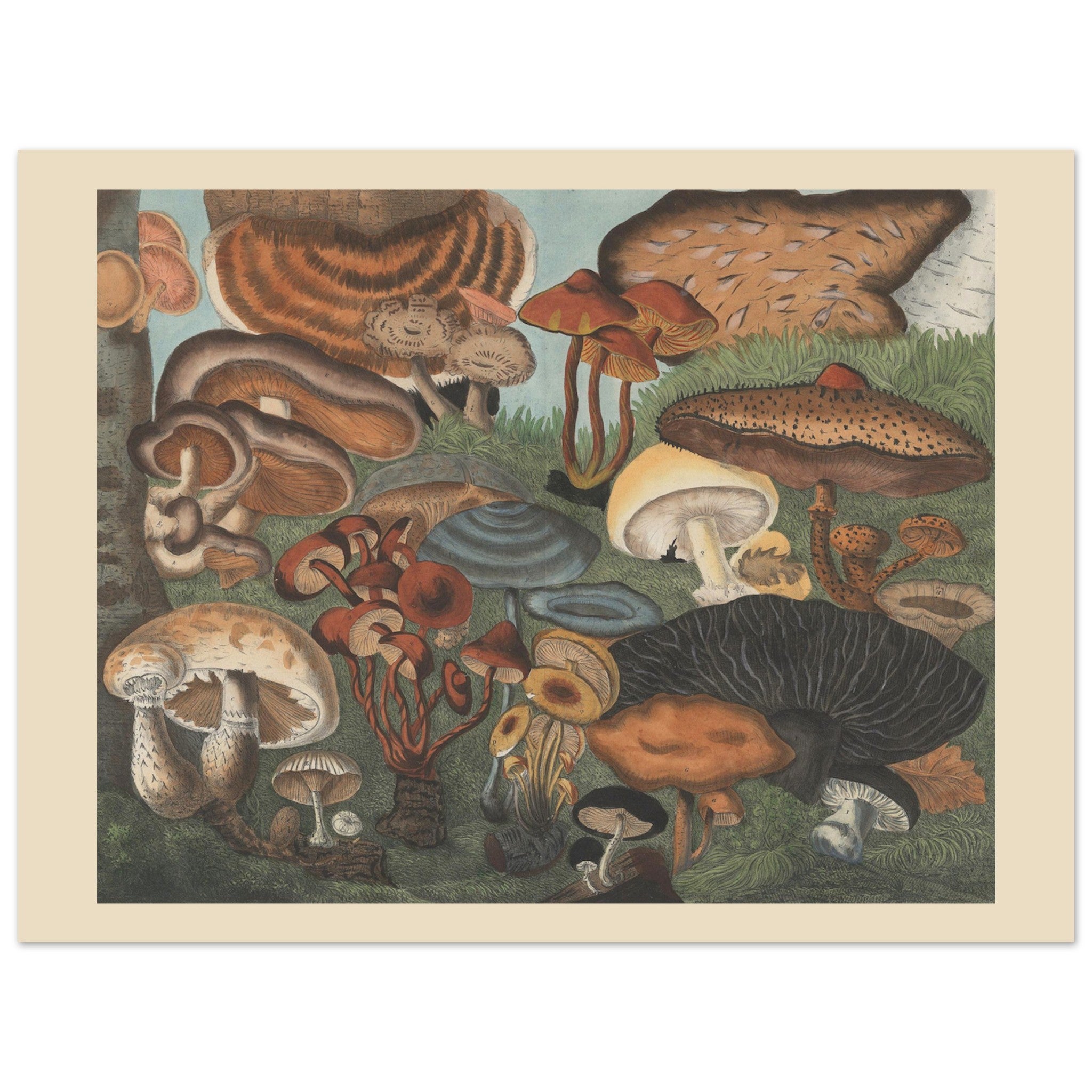 6c437ef7-14d7-4bfd-9e4e-f566bcd57014