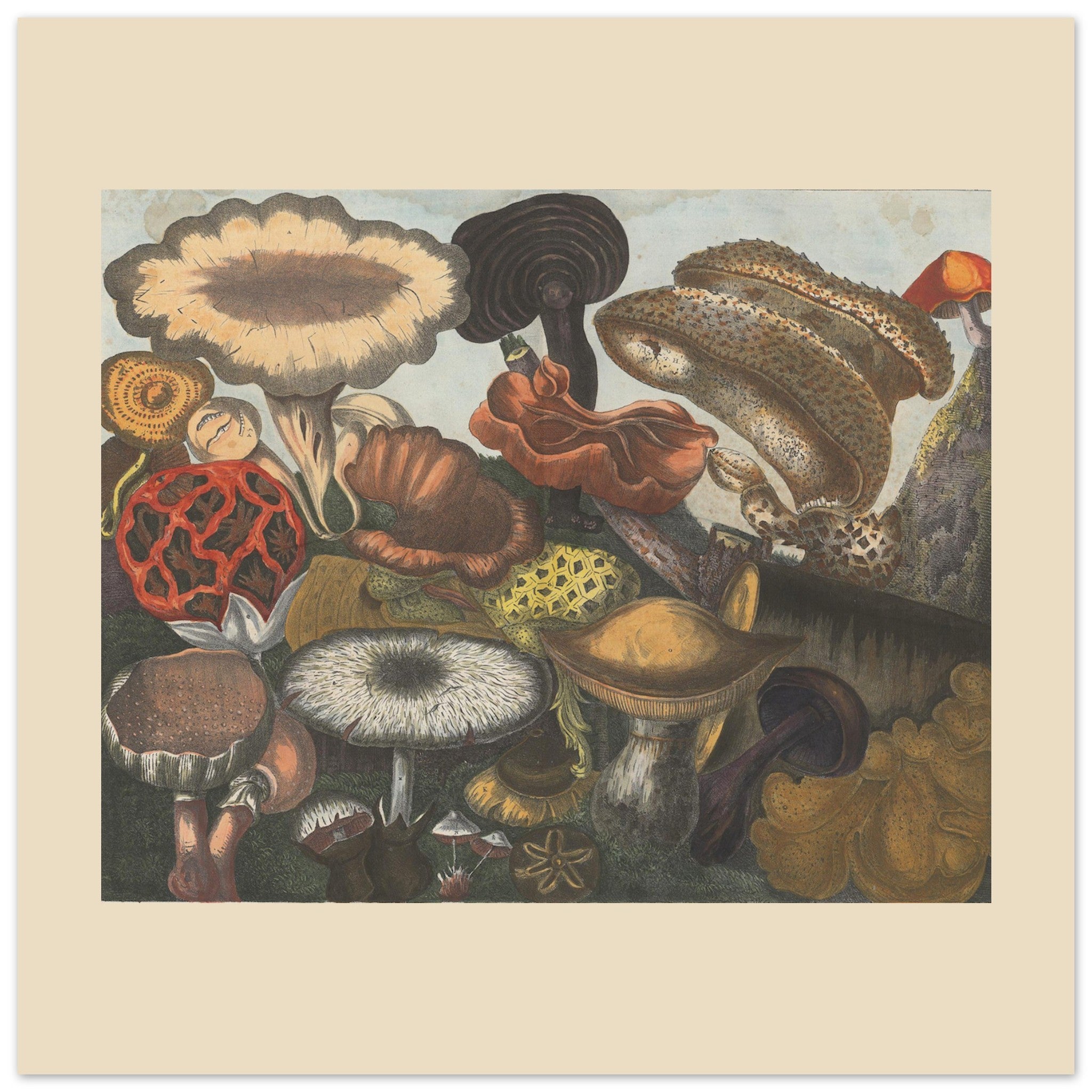 6ebb77af-45f0-4a48-a785-1583e45eb9bc