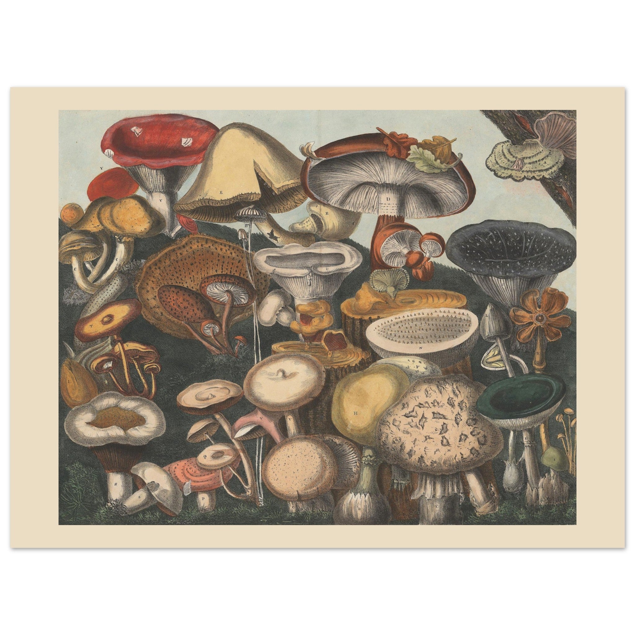 6f5d8b75-ac7f-4c8b-9086-5d1624053dd1