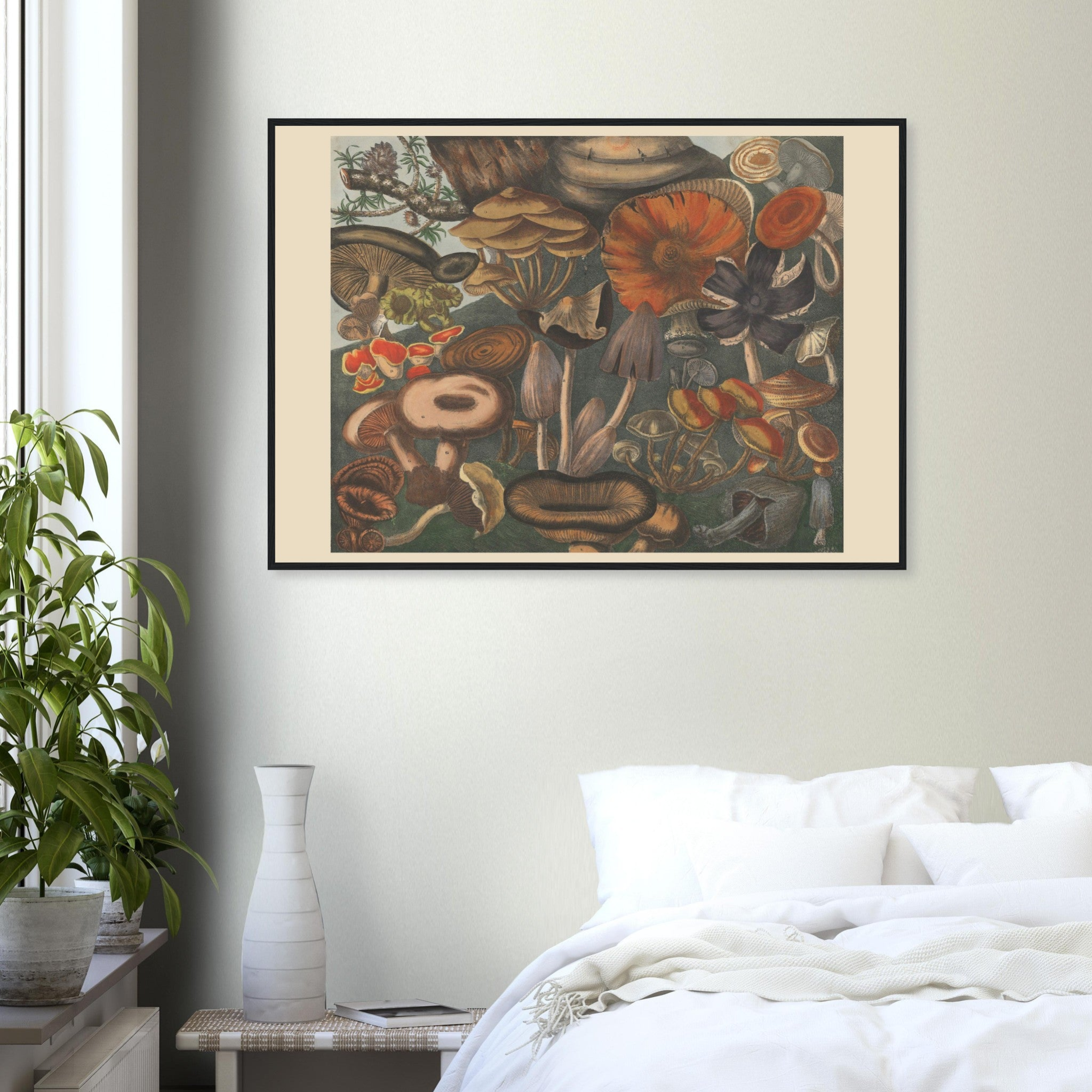 Atlas des Champignons 10 Print