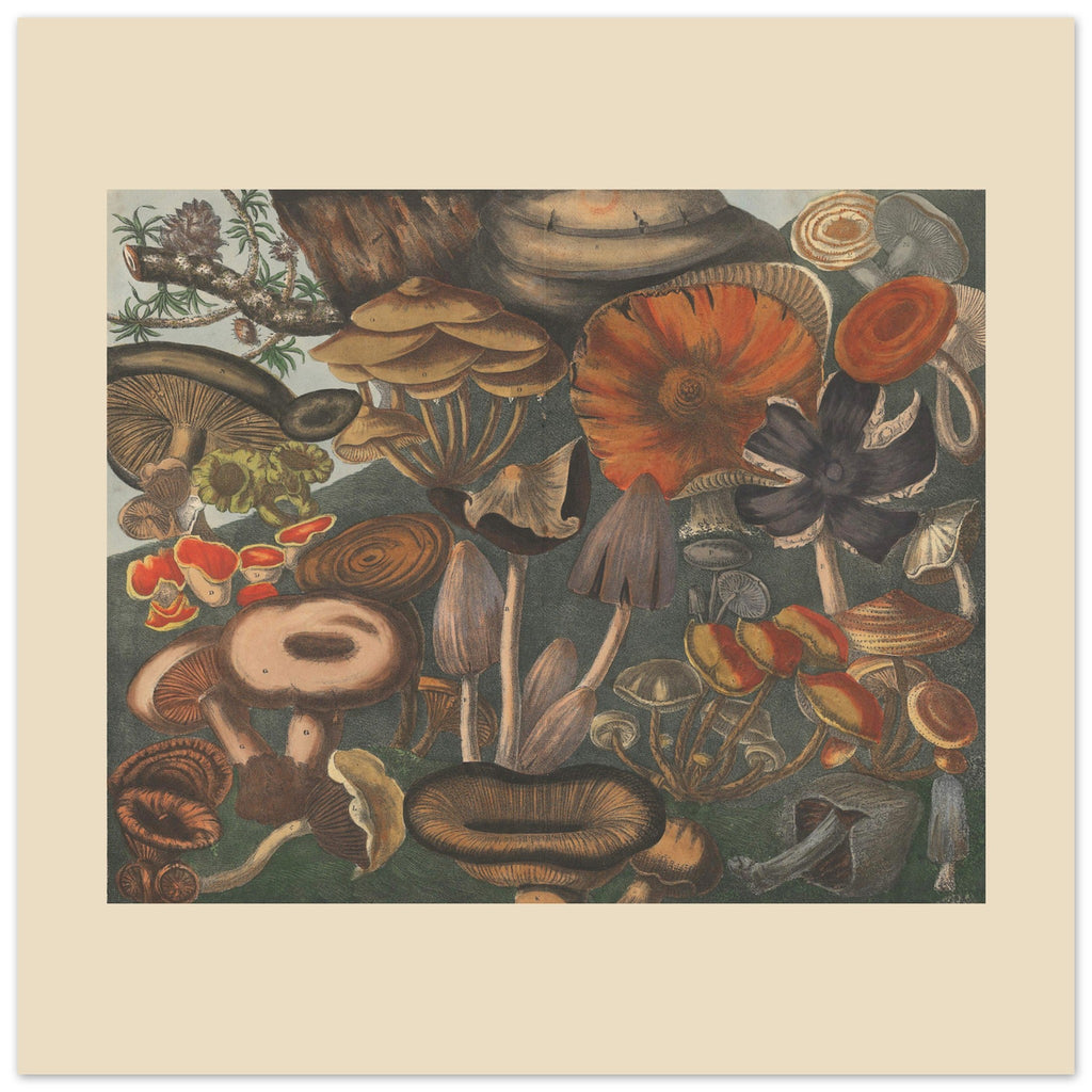 7060b9e2-8f94-4ea8-92ce-5ac45e752c88