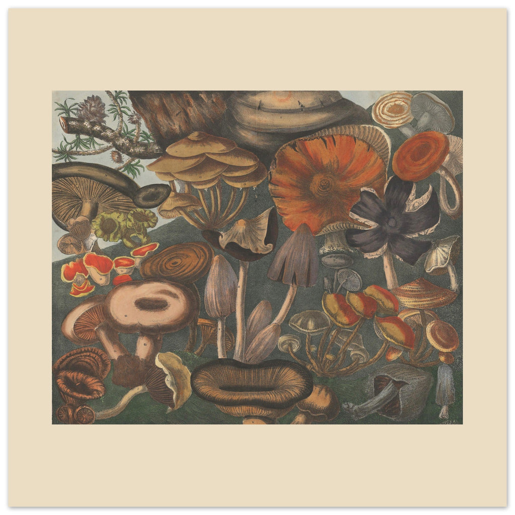 74cc6dcb-8260-471e-8a4b-75a130114148