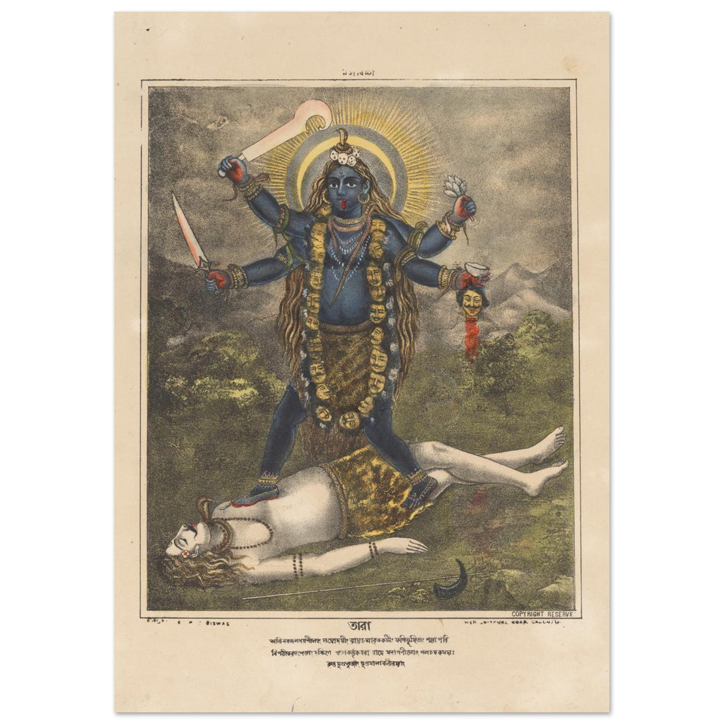 7ca71764-ba9d-45db-bd0b-b9a29990ad2f