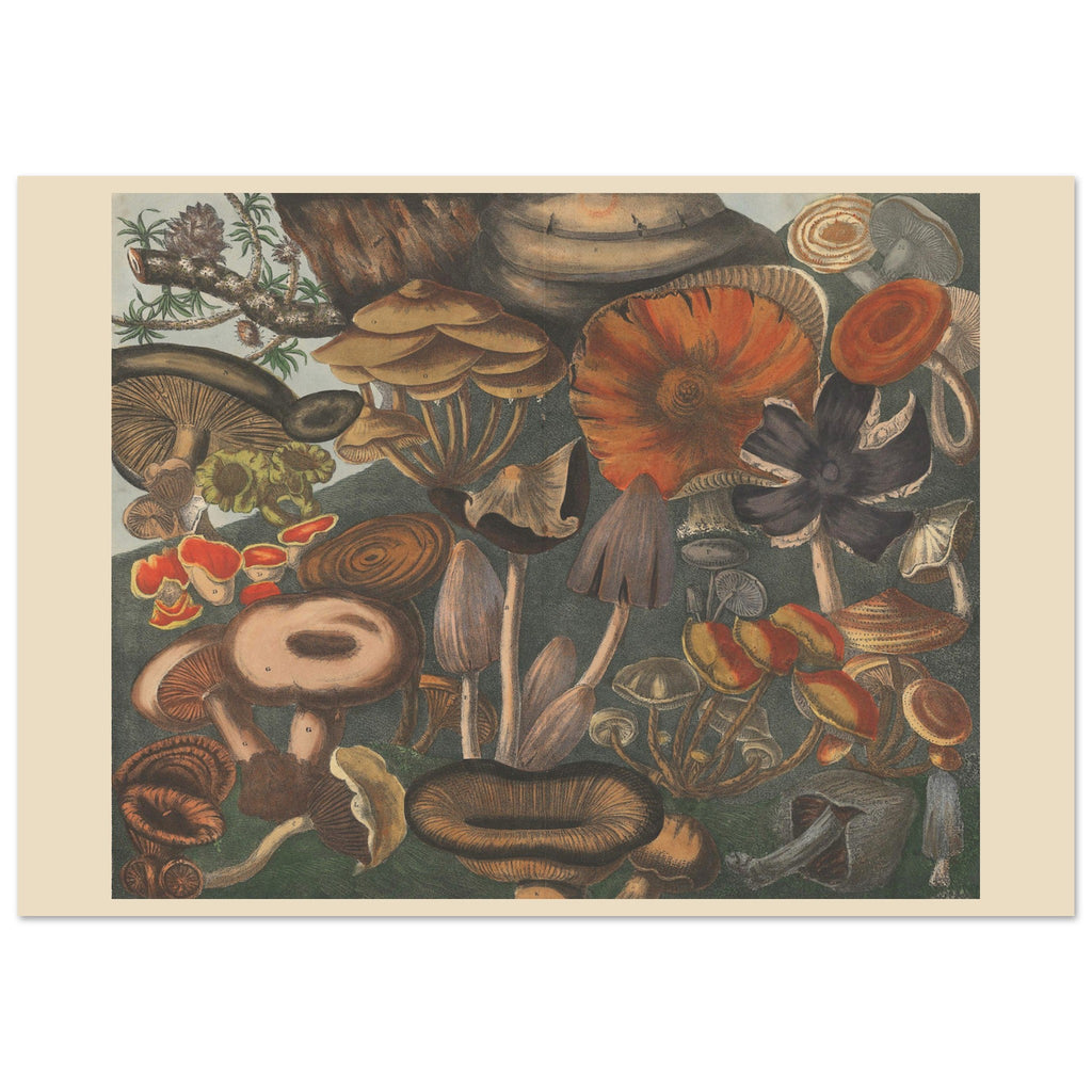 86e70de8-88a0-457c-be25-da2a78ea54a1