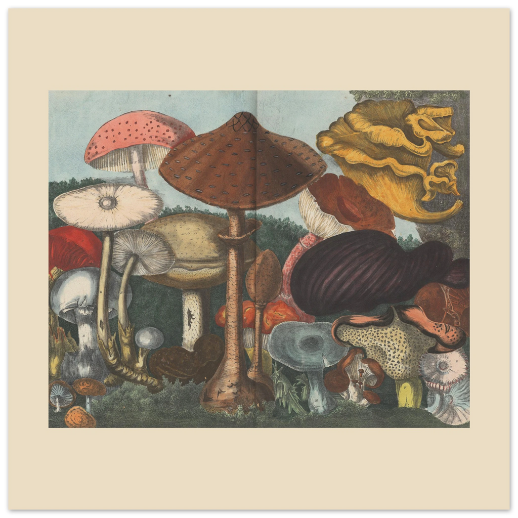 8c275a8c-dcc1-47bc-b4cd-fc53d2ba9283