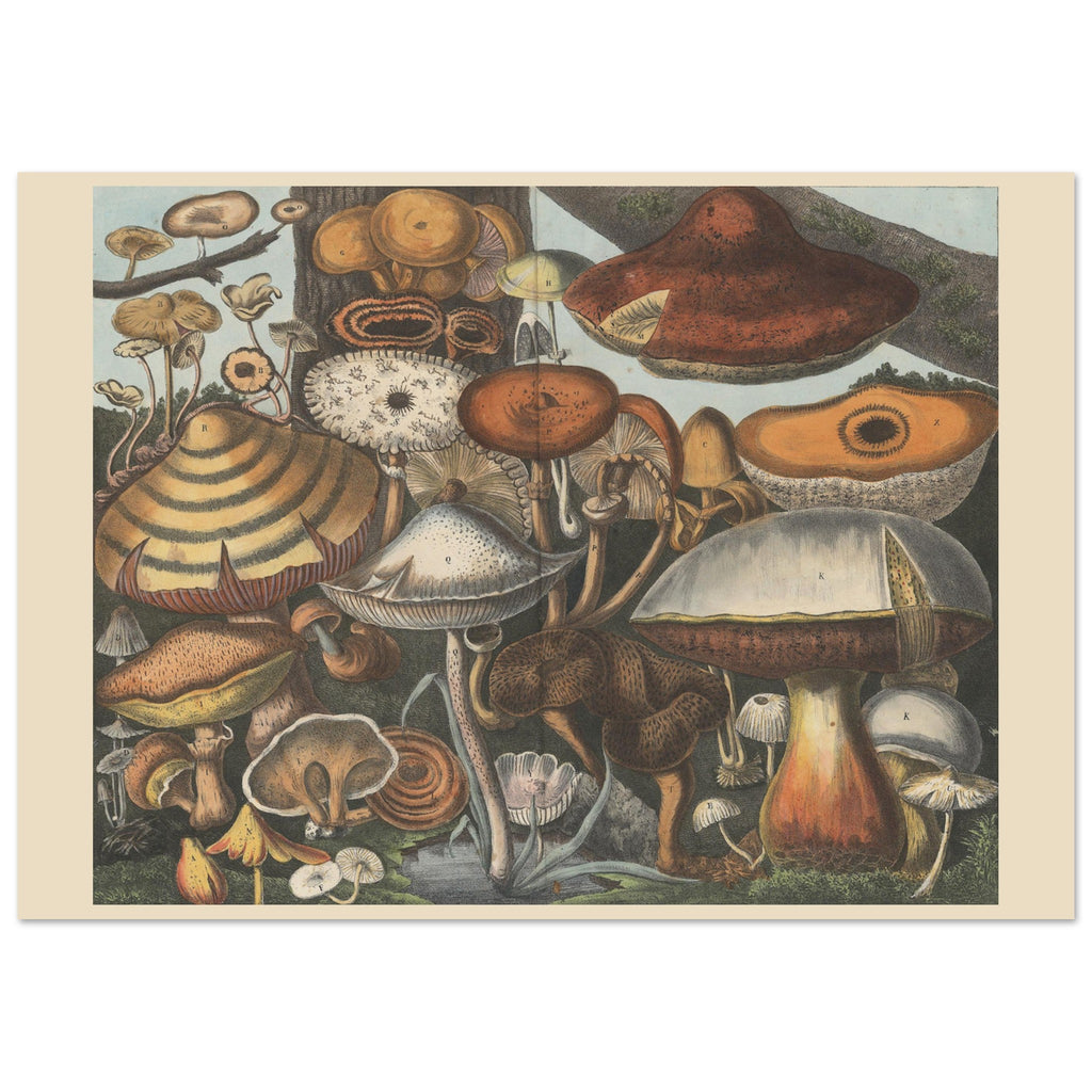 9011ea71-ce50-4f93-84c9-7c51beaaf389