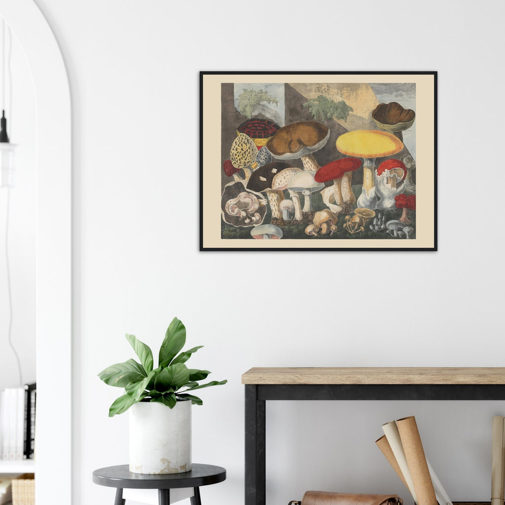 Atlas des Champignons 2 Print