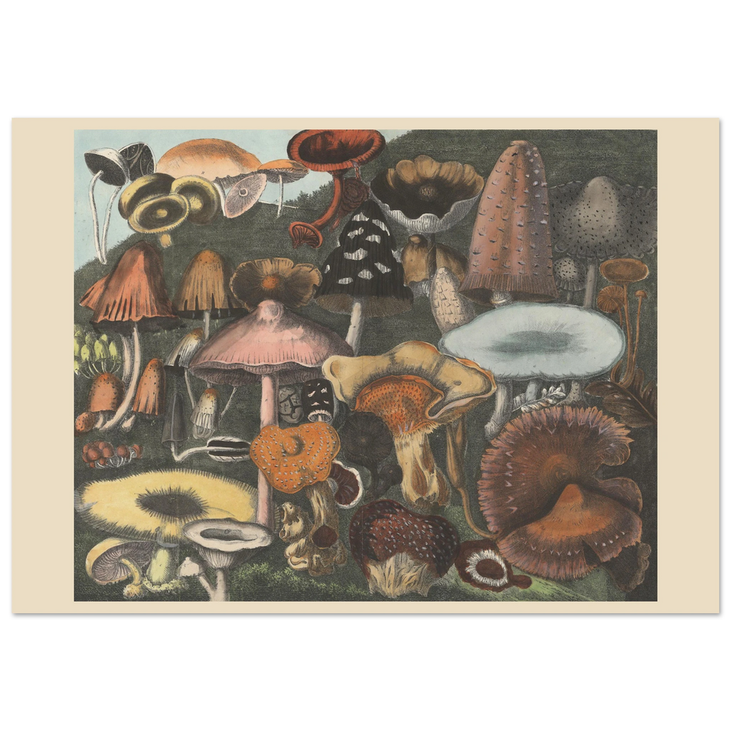 9ad8e59e-a570-461e-aa7a-99fa9450b49a