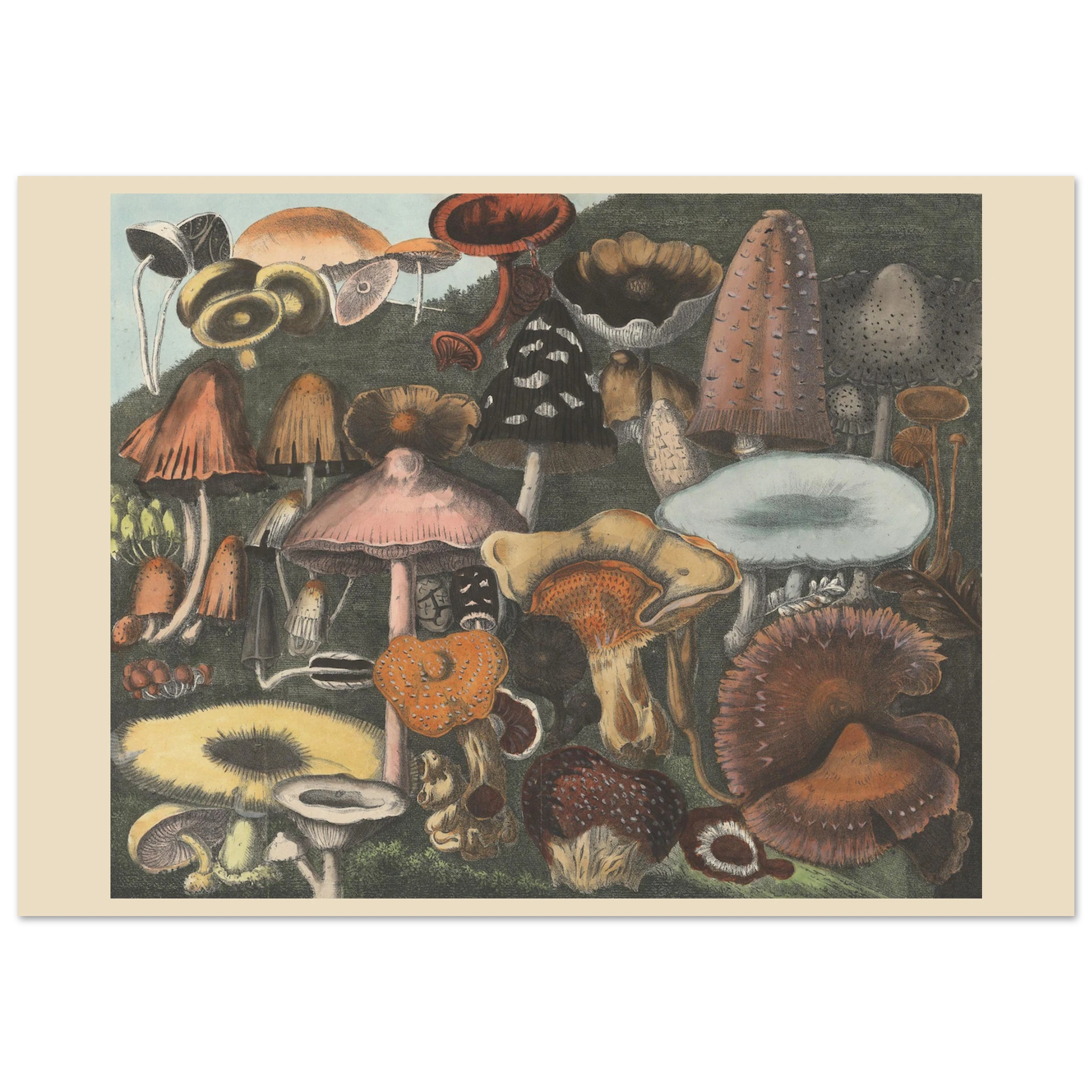 9ad8e59e-a570-461e-aa7a-99fa9450b49a