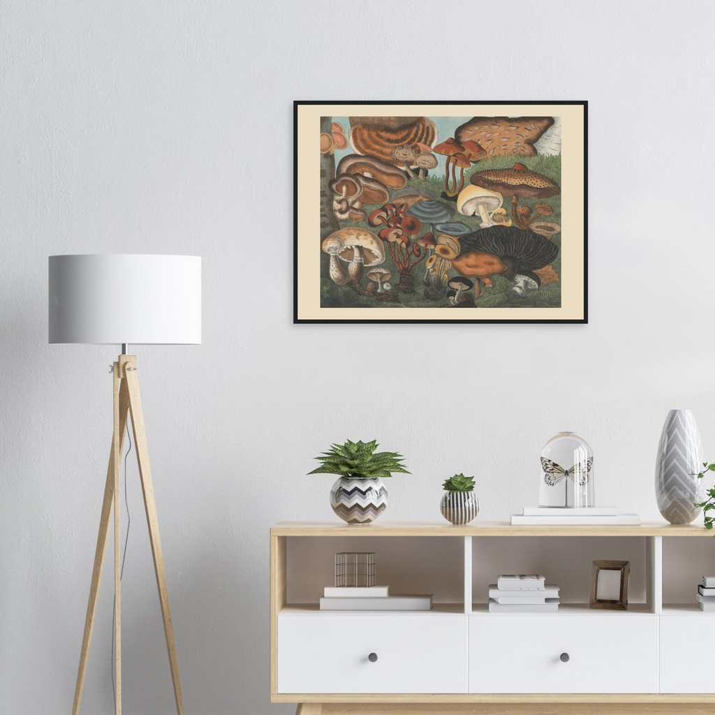 Atlas des Champignons 6 Print