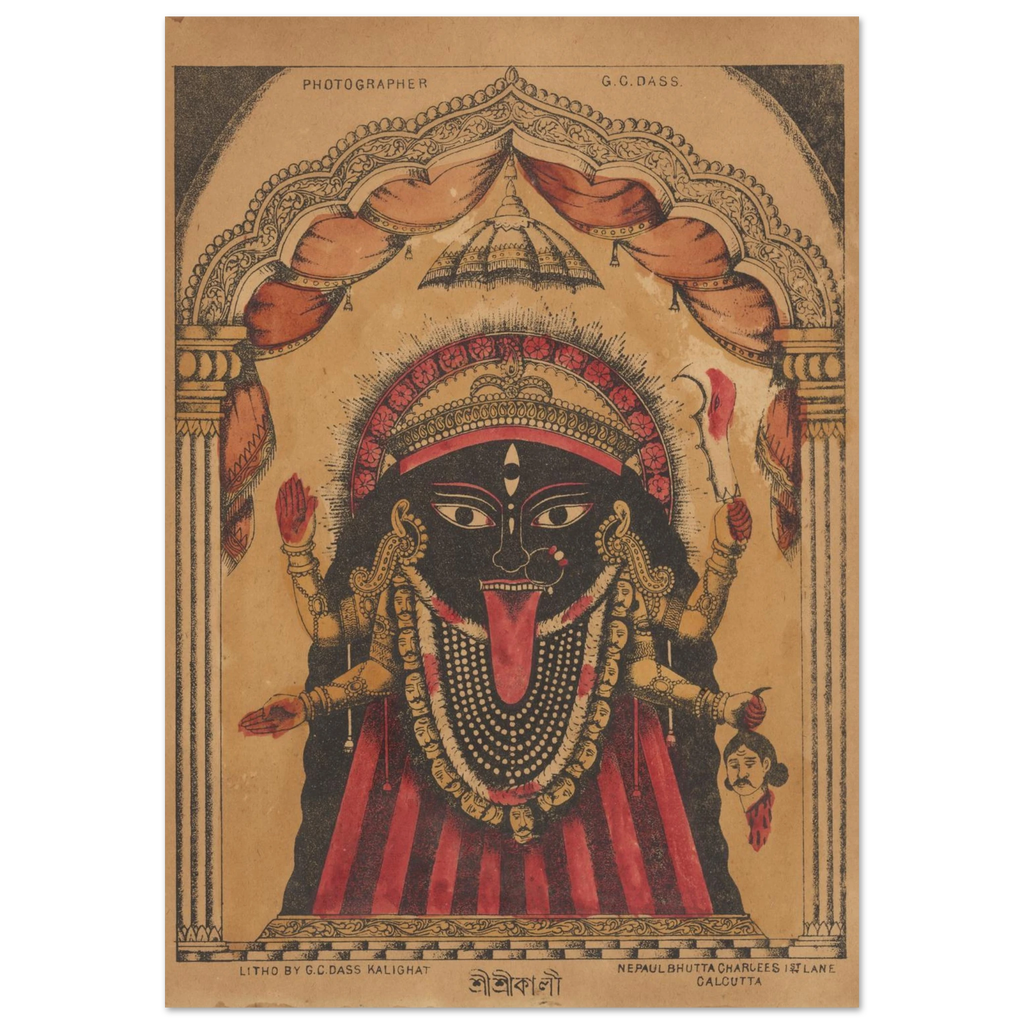 9ffcf3bd-2d50-444d-a967-861e83db7cdb