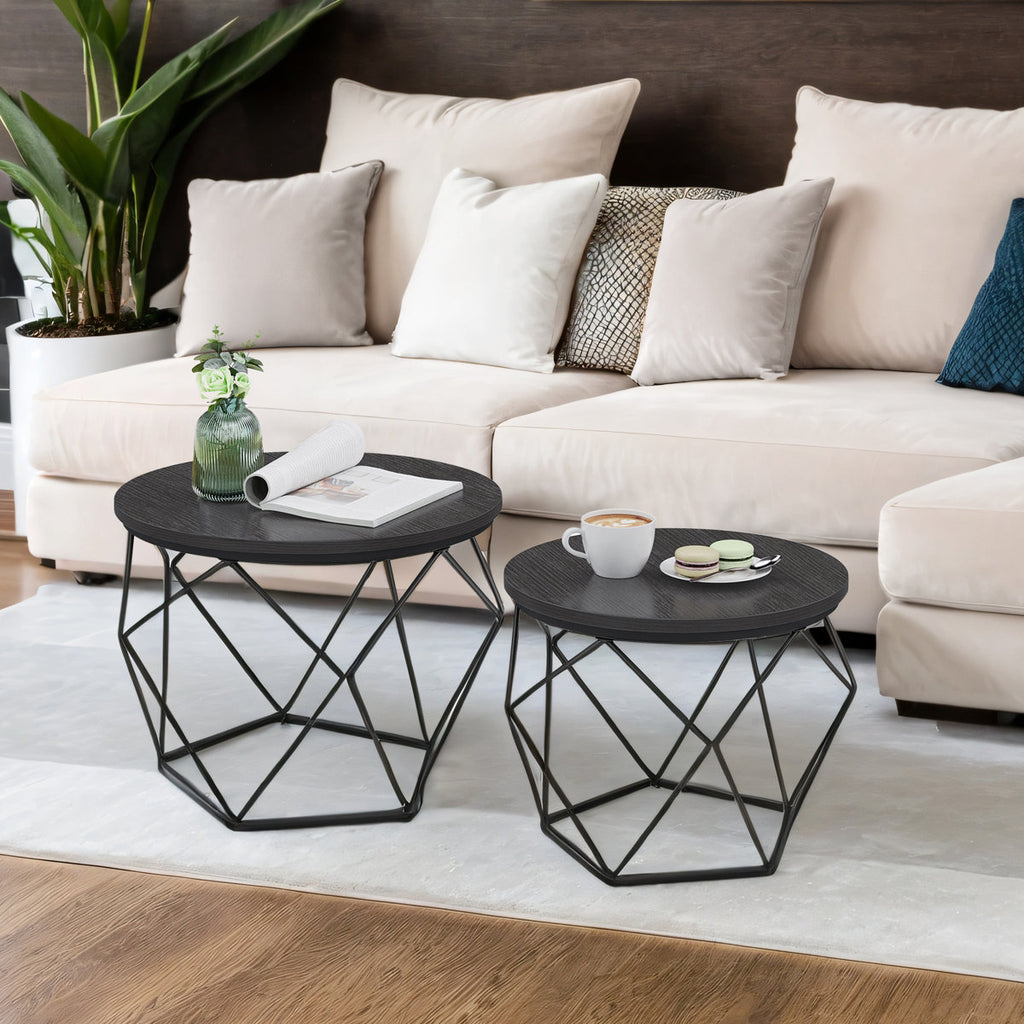 Selene 2 Piece Coffee Table Set