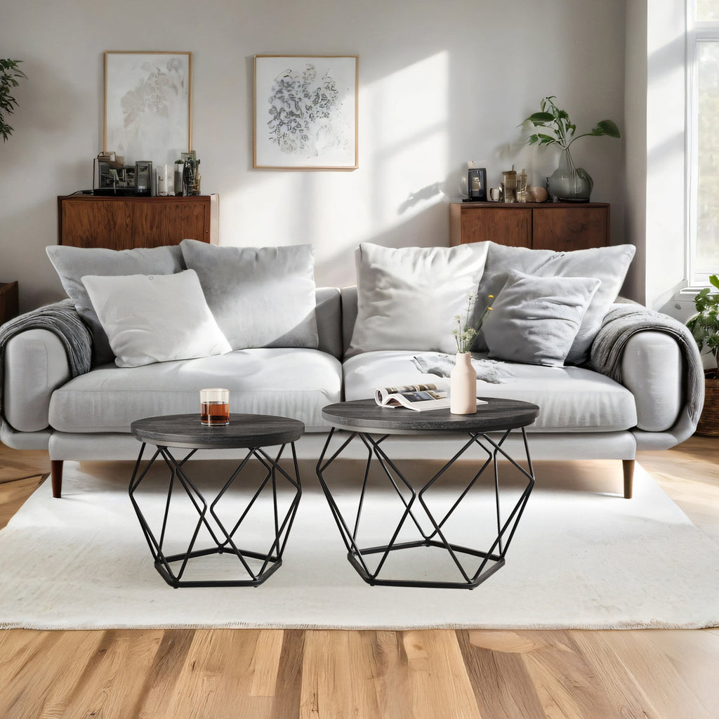 Selene 2 Piece Coffee Table Set