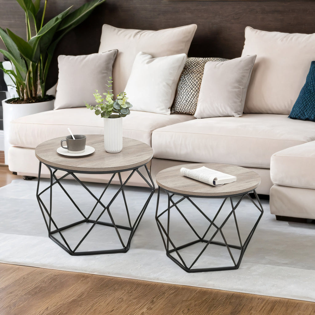 Selene 2 Piece Coffee Table Set