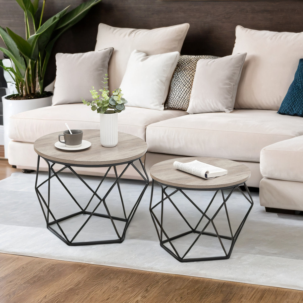 Selene 2 Piece Coffee Table Set