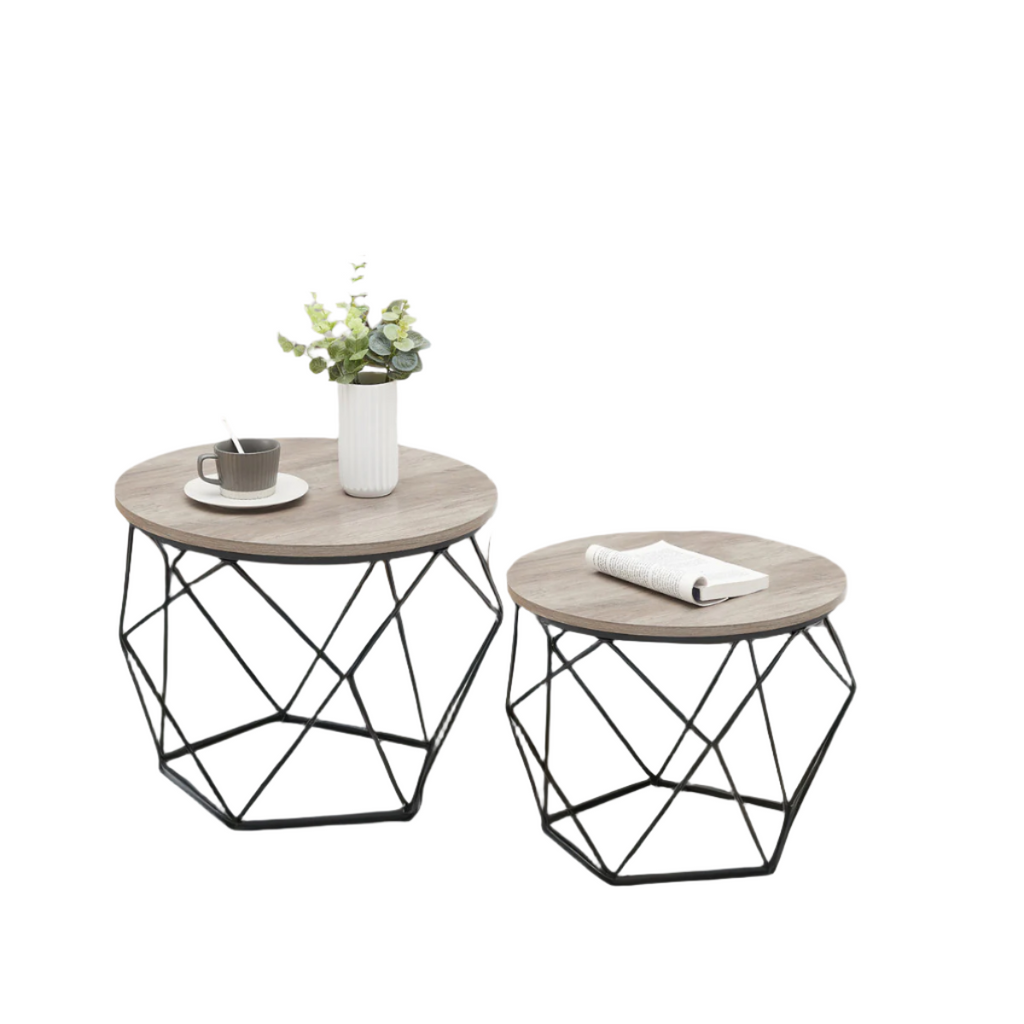 Selene 2 Piece Coffee Table Set