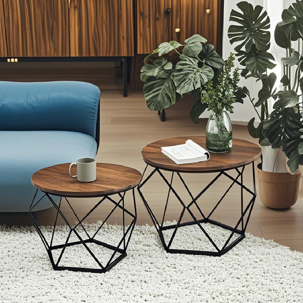 Selene 2 Piece Coffee Table Set