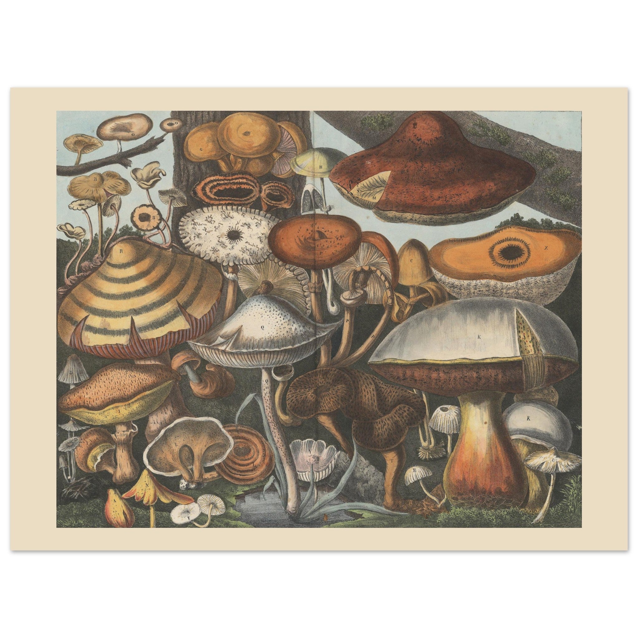 a21999a8-431f-4fa2-8082-2e4f749e10b2